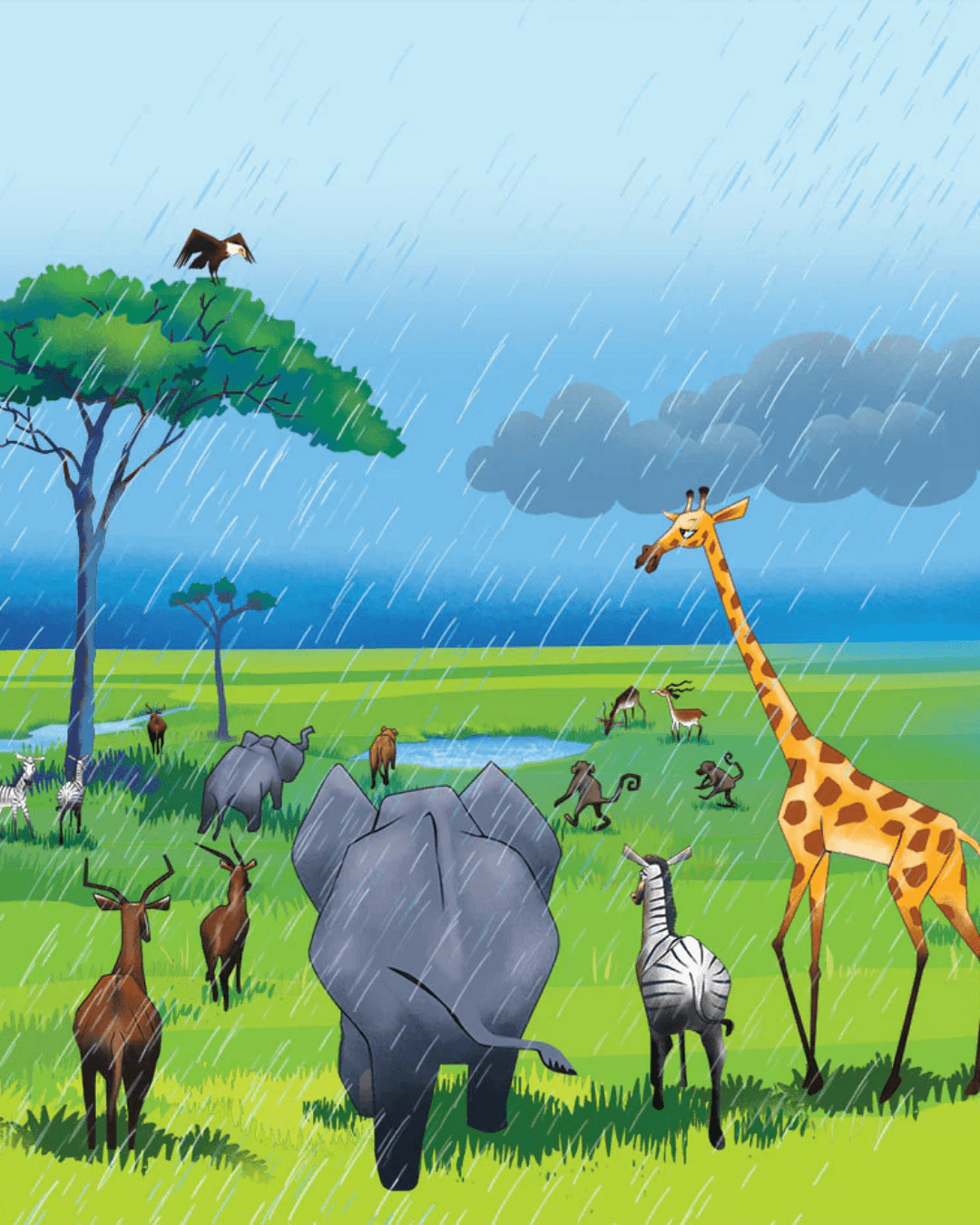 Custom illustration — safari